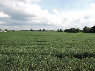 Property photo 3 - LAND AUCTION - 71+/- ACRES OFFERED IN 2 TRACTS IN DELAWARE CO., INDIANA